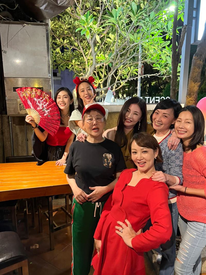 何如芸開心辦單身趴，丁寧、藍心湄、王宇婕、林筳諭（勇兔）、郁方、寶媽等人都來。（圖／翻攝自臉書）