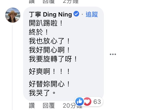 丁寧激動留言。（圖／翻攝自何如芸臉書）