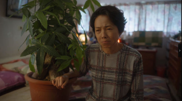 ▲▼《童話故事下集》盆栽被讚神設定。(圖/翻攝自Netflix、臉書)