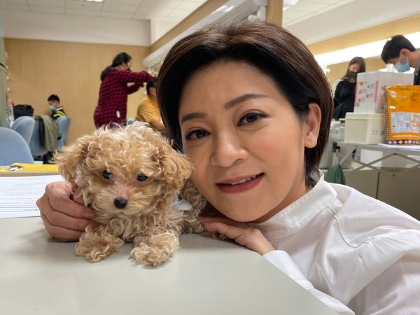 ▲▼王彩樺帶自家毛兒子Duffy到八點檔攝影棚,萌樣融化不少人 。(圖/民視提供)