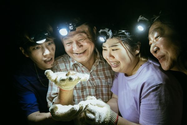 ▲林子閎、葉星辰、顏毓麟、大文《綠島金魂》。(圖/MyVideo提供)