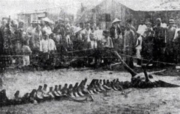 1934年的「營川墜龍事件」至今仍是謎團。(網路照片)