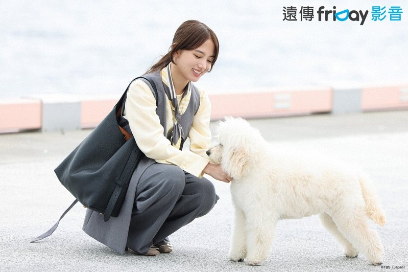 《初戀DOGs》劇照。圖片來源：friDay影音提供