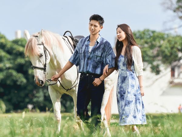 ▲《去有風的地方》劉亦菲和李現主演。（圖／愛爾達電視提供）