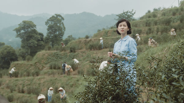 ▲《茶金》講述的是全台最大茶葉出口商的家族興衰。連俞涵、郭子乾、溫昇豪、薛仕凌、黃健瑋、李杏、許安植等人主演。(圖/Netflix提供)
