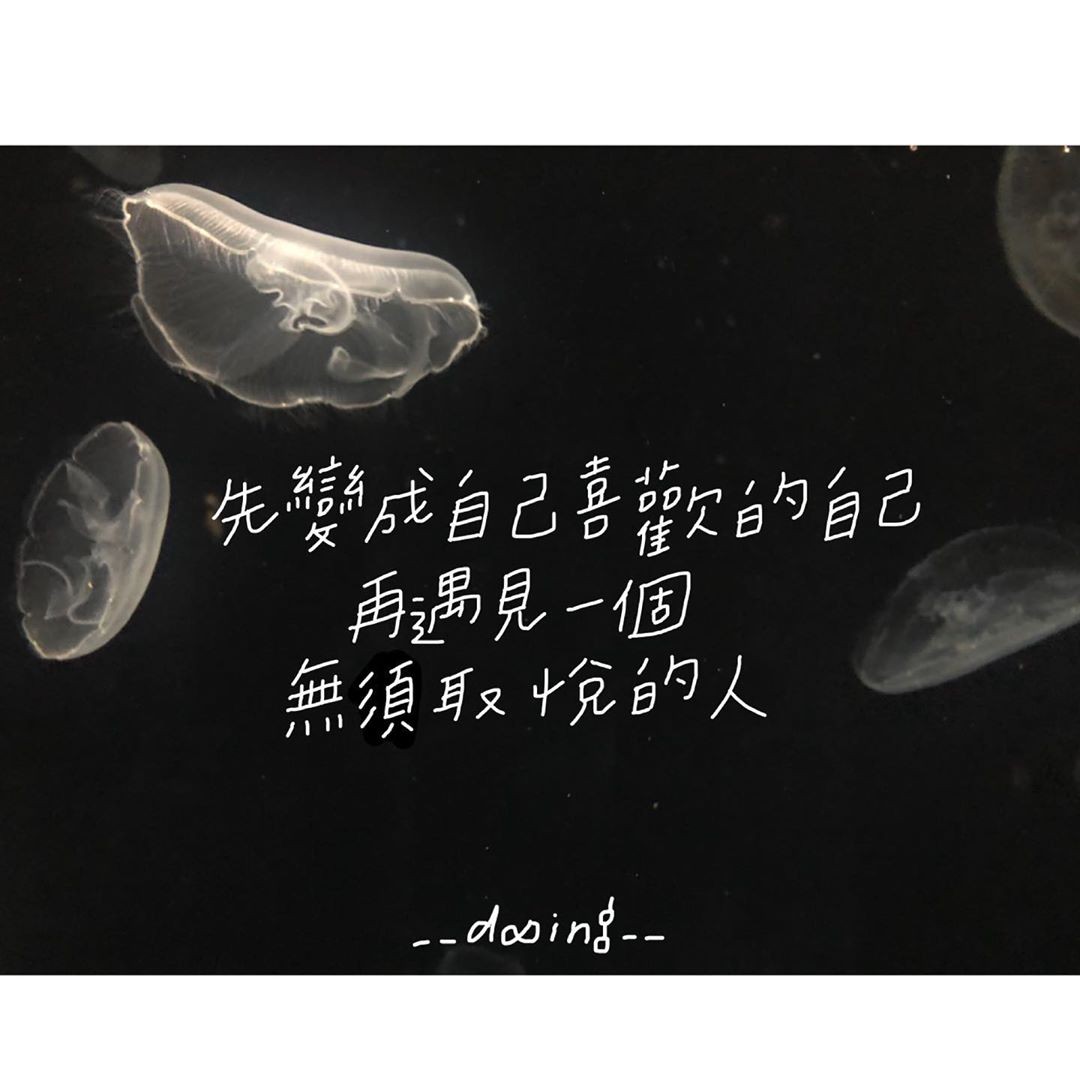 ▲▼IG圖文作家。(圖/由IG圖文作家「初生之犢」授權提供) ▲▼IG圖文作家。(圖/由IG圖文作家「初生之犢」授權提供)