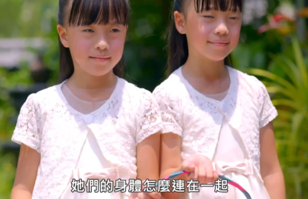 ▲▼  《天之驕女》角色懶人包           。（圖／三立提供）