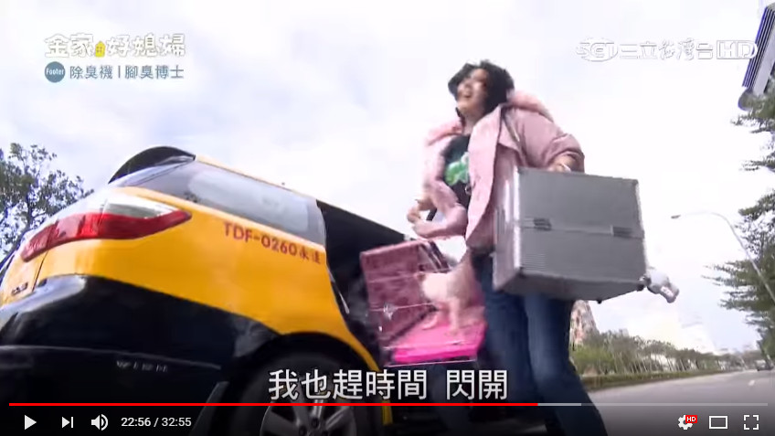 ▲▼《好媳婦》爆虐狗 韓瑜遭推開手上狗籠摔地…真相曝光。(圖/翻攝自YouTube 三立台劇)