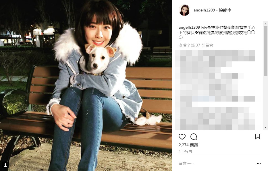 ▲▼《好媳婦》爆虐狗 韓瑜遭推開手上狗籠摔地…真相曝光。(圖/翻攝自韓瑜IG)