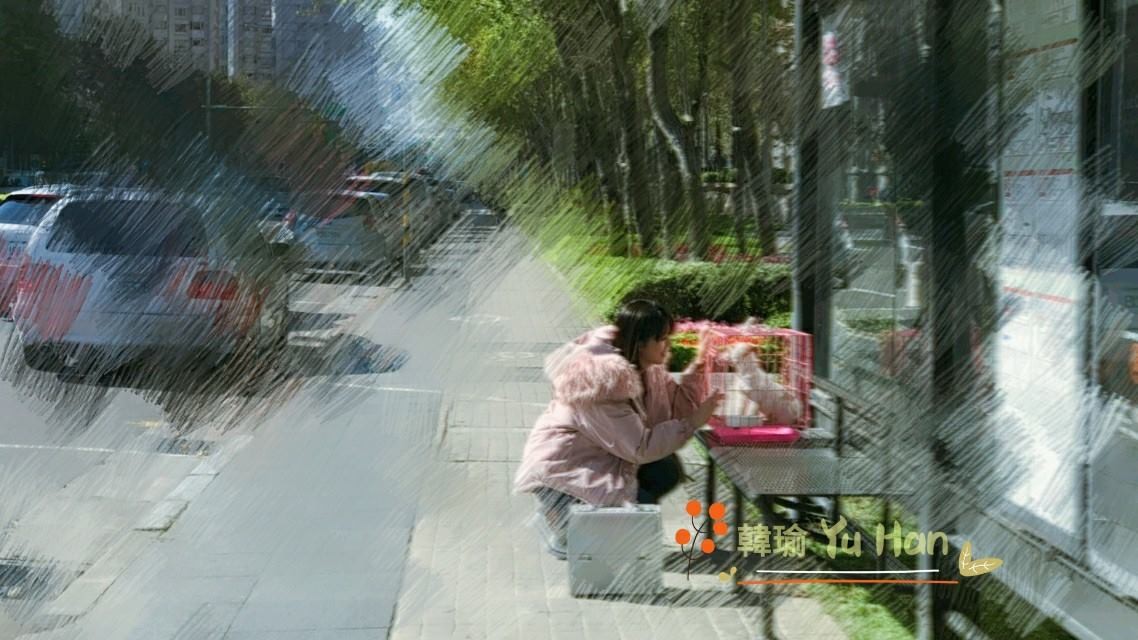 ▲▼《好媳婦》爆虐狗 韓瑜遭推開手上狗籠摔地…真相曝光。(圖/翻攝自韓瑜臉書)