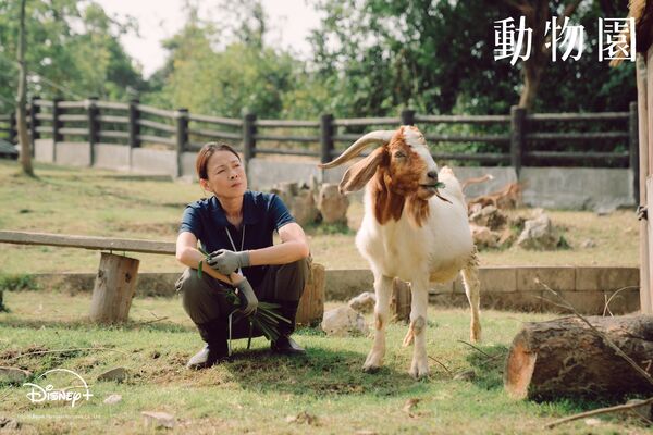 ▲▼台劇《動物園》。（圖／翻攝自Facebook／Disney+）