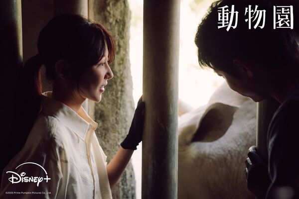 ▲▼台劇《動物園》。（圖／翻攝自Facebook／Disney+）