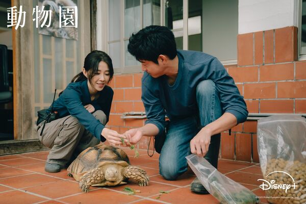▲▼台劇《動物園》。（圖／翻攝自Facebook／Disney+）