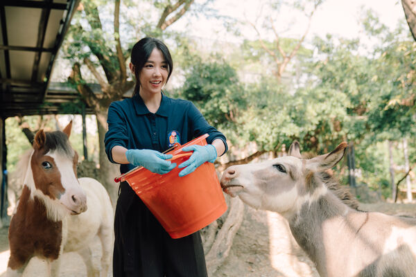 ▲邵雨薇、王柏傑、李淳主演的《動物園》定檔2月20日播出。（圖／Disney+提供）