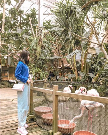 ▲▼特搜全台動物園。（圖／ReadyGo）