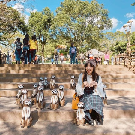 ▲▼特搜全台動物園。（圖／ReadyGo）