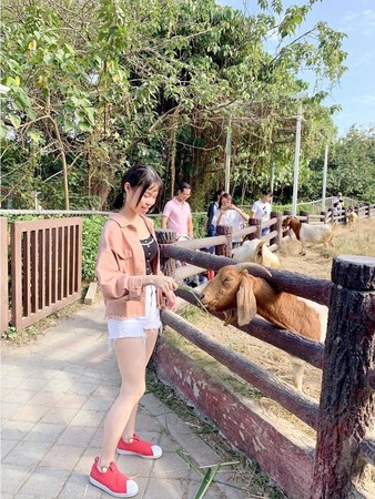 ▲▼特搜全台動物園。（圖／ReadyGo）
