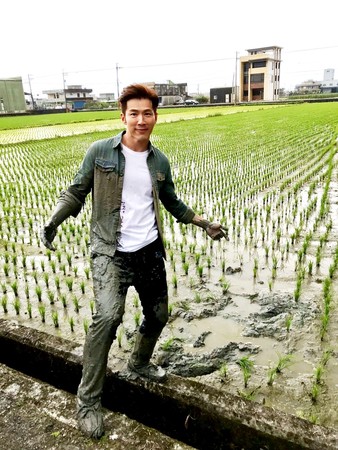 ▲▼黃少祺跌進稻田裡，身上滿是泥濘。（圖／三立）